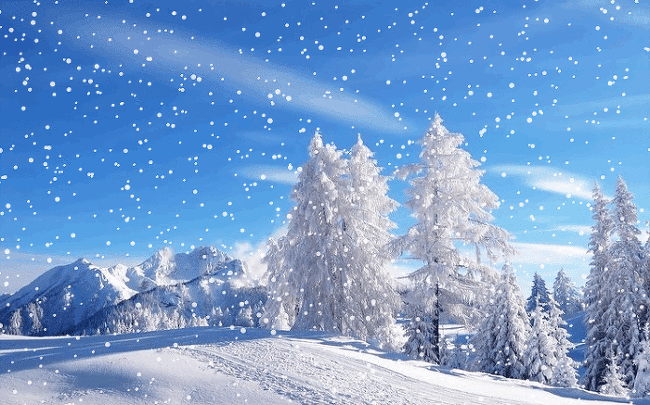 Falling snow. Nature animation card. Download free image with winter landscape. Cold weather. Firs in the snow. The sun is in winter. Drifts. White color. Free Download 2024 greeting card