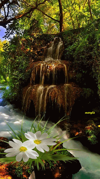 Summer Landscape. Nature animation card. Picture of summer weather. Animated waterfall. White flowers. Greenery. Bright nature. Summer mood. Free Download 2024 greeting card