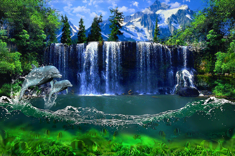 Animated postcard with dolphins. Nature photo-card Postcard with sensual nature. Majestic waterfall. Fantastic view. Undersea world. Dolphins and fish Free Download 2024 greeting card