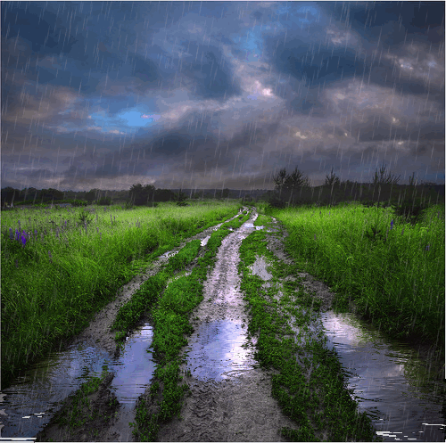 Rain in the field. Nature gif card. Beauty of nature. Rain in the green field. Blurred road. Green grass. Wet grass. Animation. Nature. Free Download 2024 greeting card