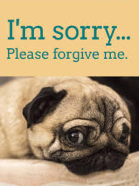 A sad pug! New ecard for boy! I'm sorry... I'm sorry...please forgive me... Free Download 2024 greeting card