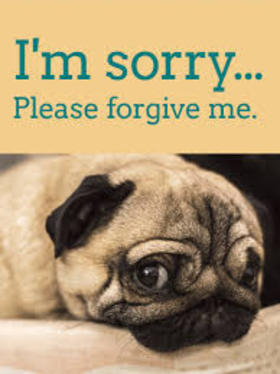 A sad pug! New ecard for boy! I'm sorry... I'm sorry...please forgive me... Free Download 2025 greeting card