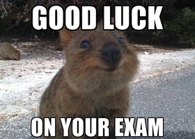 Good luck from this cute wombat! New ecard! Good luck to you from this cute wombat! Free Download 2024 greeting card