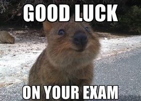 Good luck from this cute wombat! New ecard! Good luck to you from this cute wombat! Free Download 2025 greeting card