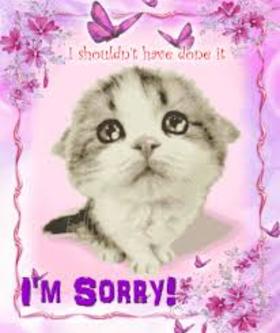 I am sorry! Cute cat to you! Ecard for girls! I shouldn't have dope it...I'm sorry! Free Download 2024 greeting card