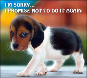 So, I'm sorry... I'm cute dog. New ecard to You. I'm sorry... I promise not to do it again. Free Download 2024 greeting card