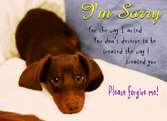 I'm sorry! New ecard! I'm cute dog... I'm sorry for the way I acted you don't deserve to be treated the way I treated you. Free Download 2024 greeting card